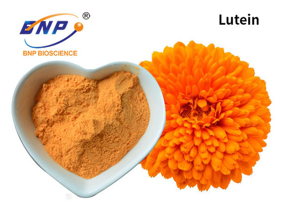 Φυσική Marigold συμπληρωμάτων πορτοκαλιά σκόνη 5%-90% λουτεΐνης αποσπασμάτων για τα μάτια