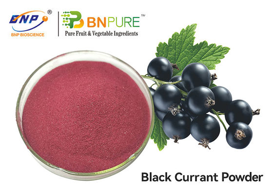 Πορφυρός κόκκινος βαθμός τροφίμων σκονών χυμού ριβησίων εκχύλισμα φρούτων Ribes Nigrum