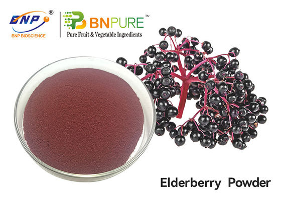 Πορφυρός Elderberry βαθμός τροφίμων σκονών χυμού Nigra Sambucus εκχύλισμα φρούτων