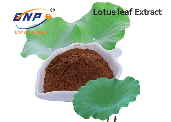 Απώλεια Nuciferin 2%, απόσπασμα βάρους φύλλων Lotus 98% από BNP