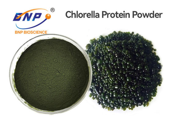 Chlorella εκχυλισμάτων κκπ φυτού βαθμού τροφίμων φυσική Vulgaris σκόνη