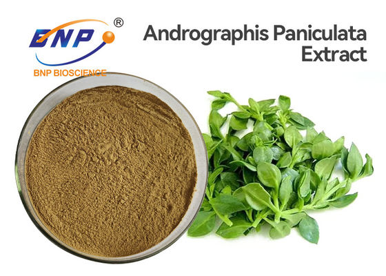 Ενάντιο στον ιό HPLC σκονών 50% Andrographolide αποσπασμάτων Andrographis Paniculata