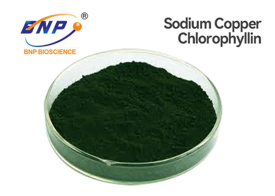 Σκούρο πράσινο σκόνη Chlorophyllin χαλκού νατρίου