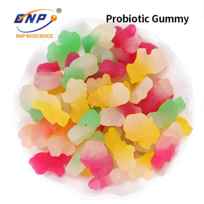 Καθημερινό Probiotic Gummy διαιτητικό συμπλήρωμα καραμελών ζάχαρης ελεύθερο χωνευτικό Gummy