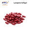 Φαρμακευτικό Lycopene συμβάσεων Lycopene Multivitamin Multimineral Softgel Softgel