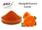 Εκχύλισμα Marigold Lutein Powder 5%-90% Orange Yellow Powder
