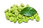 Πράσινος χλωρογενής όξινος 50% φασολιών καφέ βαθμός τροφίμων εκχυλισμάτων