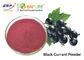 Πορφυρός κόκκινος βαθμός τροφίμων σκονών χυμού ριβησίων εκχύλισμα φρούτων Ribes Nigrum