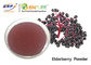 Πορφυρός Elderberry βαθμός τροφίμων σκονών χυμού Nigra Sambucus εκχύλισμα φρούτων
