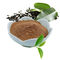 Πράσινη Polyphenols 20%-98% τσαγιού εκχυλισμάτων τσαγιού καφετιά, άσπρη σκόνη
