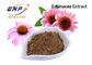 Polyphenol 4% αποσπασμάτων Purpurea Echinacea βαθμός τροφίμων