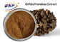Καφετιά κίτρινη σκόνη συμπληρωμάτων εκχυλισμάτων μανιταριών ΓΤΟ ελεύθερη Maitake