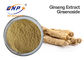Ginsenoside 80% φυσική φυτού σκόνη αποσπασμάτων Ginseng εκχυλισμάτων καφετιά