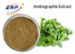 Αντιβακτηριακός βαθμός τροφίμων σκόνη 3%-99% Andrographolide αποσπασμάτων Andrographis Paniculata