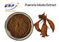 Isoflavones 40% καφετιά κίτρινη Pueraria Lobata εκχυλισμάτων φυτού ρίζας Kudzu φυσική σκόνη