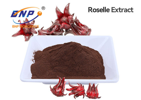 Καφετιά κόκκινη σκόνη ανθοκυανών αποσπασμάτων Roselle