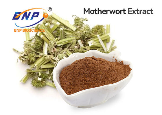 Καφετιά σκόνη βαθμού τροφίμων αποσπασμάτων Motherwort