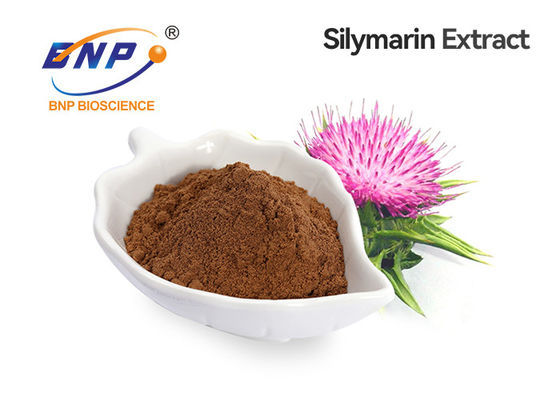 Αντιοξειδωτικό εκχύλισμα 30% Silybin 80% Silymarin Silybum Marianum φρούτων κάρδων γάλακτος
