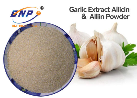 Αντιβιοτικός βαθμός τροφίμων Alium sativum εμπορικό σήμα σκονών BNP αποσπασμάτων άσπρο