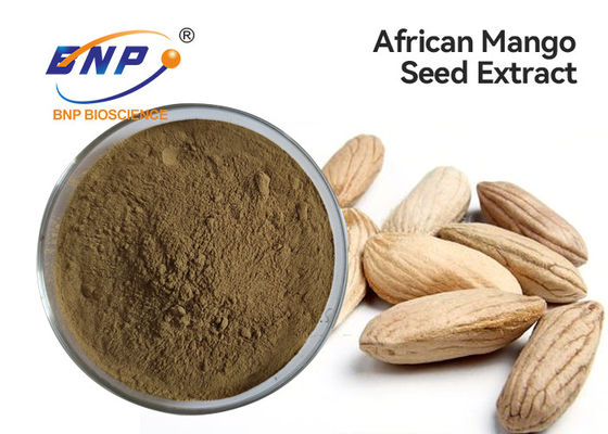 Flavones 10% φυσική φυτού σκόνη σπόρου μάγκο εκχυλισμάτων καφετιά κίτρινη αφρικανική