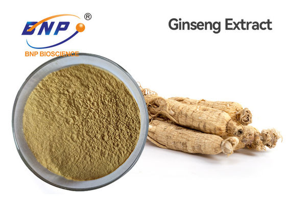 Panax Ginseng φυσικά εκχυλίσματα Ginsenoside 5% φυτού ασβεστίου Meyer