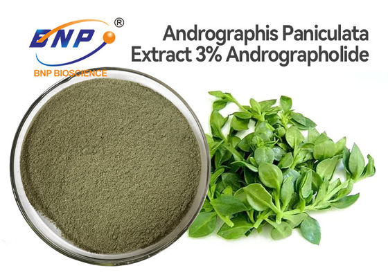 Φυσική ενάντή στον ιό σκόνη αποσπασμάτων φύλλων Andrographis Paniculata συμπληρωμάτων 3% Andrographolide