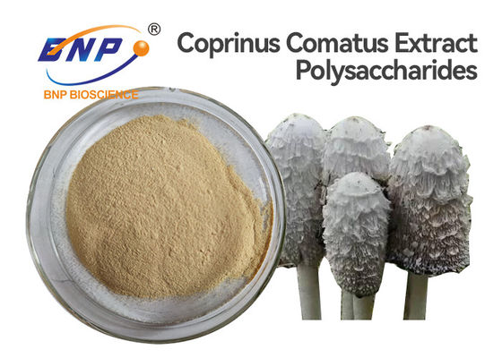 UV σκόνη ΓΤΟ ελεύθερο Coprinus Comatus εκχυλισμάτων μανιταριών δοκιμής