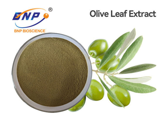 Oleuropein 60% εκχυλισμάτων φυτού HPLC καφετιά κίτρινη φυσική σκόνη αποσπασμάτων φύλλων ελιών