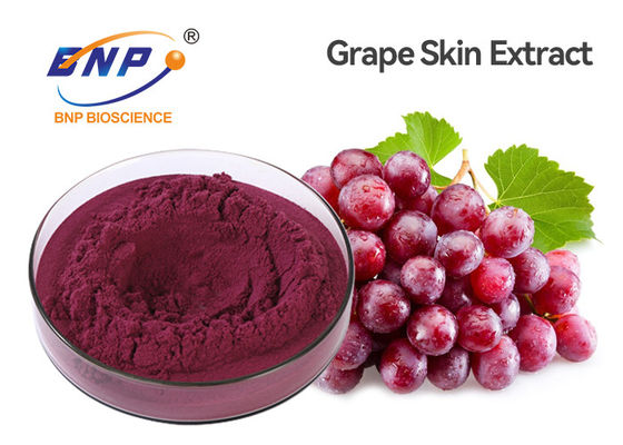 Εκχύλισμα κόκκινη σκόνη Vitis σπόρου φρούτων σταφυλιών HPLC Resveratrol 1% - vinifera