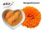 Marigold κίτρινη πρόσθετη ουσία τροφίμων χρωστικών ουσιών λουτεΐνης σκονών 10%~80% αποσπασμάτων Tagetes Erecta Λ.