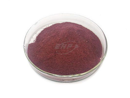 Elderberry Powder Juice Powder 20% Πολυσακχαριδικό Φυτικό Εκχύλισμα