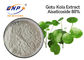Asiatica απόσπασμα Asiaticoside 80% Centella για την άσπρη σκόνη εκχυλισμάτων κόλα Gotu δερμάτων
