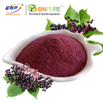 Elderberry Powder Juice Powder 20% Πολυσακχαριδικό Φυτικό Εκχύλισμα